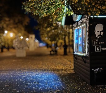 Ночь. Аллея. Кофе. Никого. Осень.