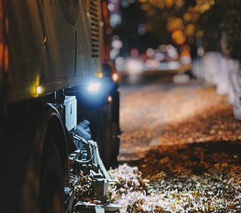 Теперь я знаю, кто крадёт нашу осень