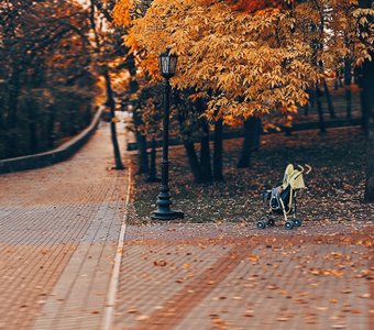 Новая жизнь.