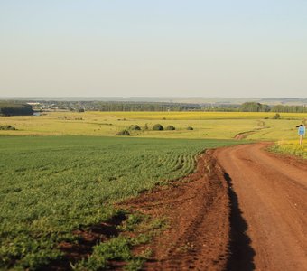 Дорога в родное село