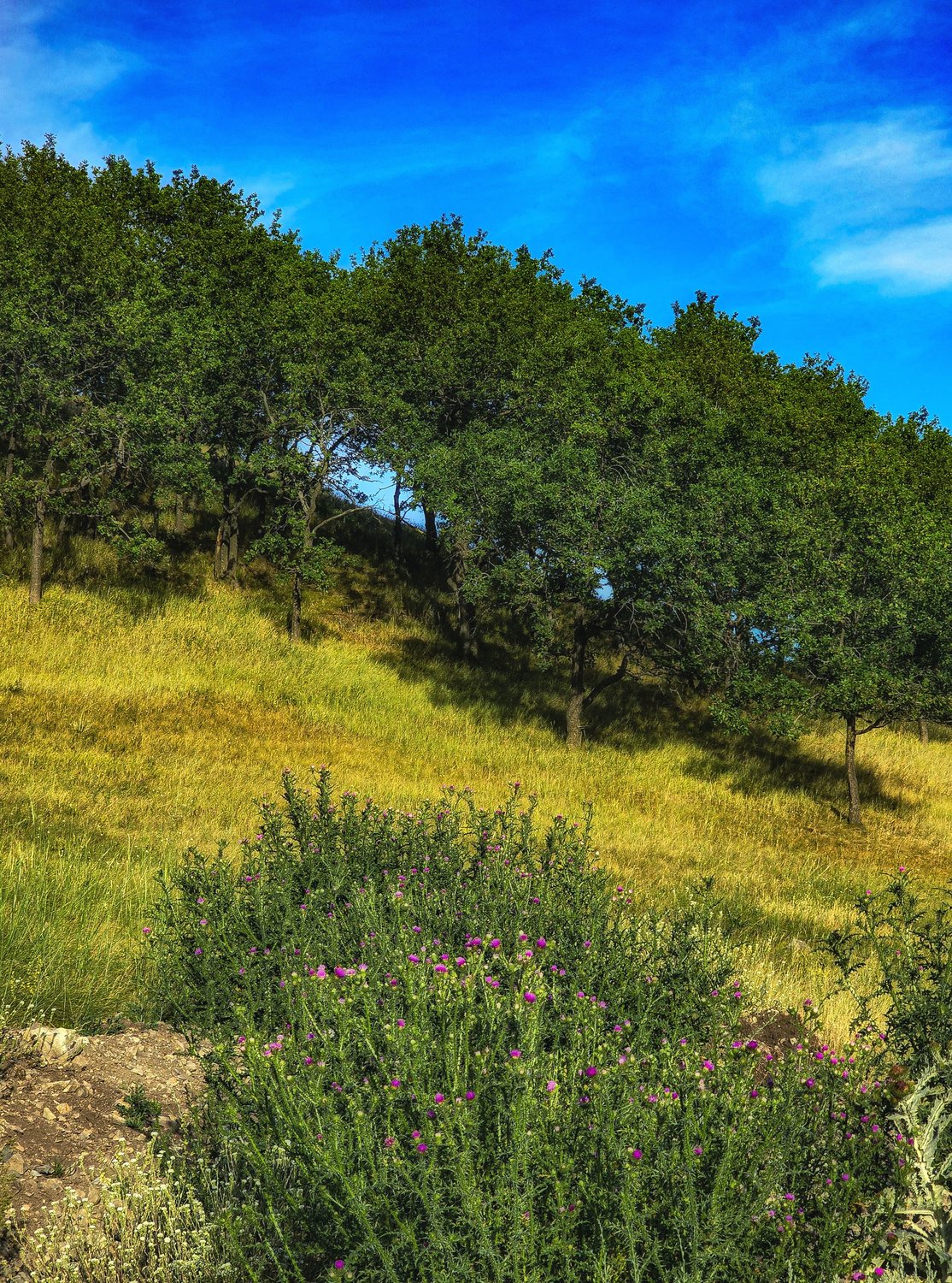 Савельевские горы