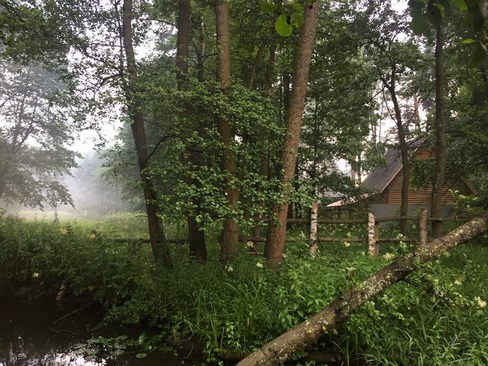 Дом на берегу реки