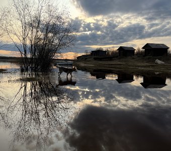 Сквозь лучи заката