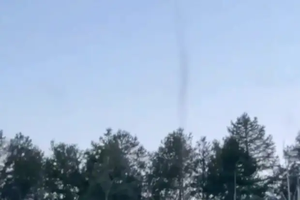 В Башкирии заметили комариный смерч: видео