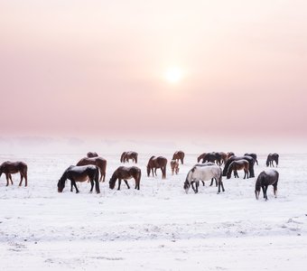 На рассвете