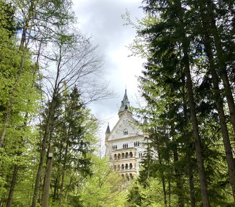 Замок Нойшванштайн. Германия