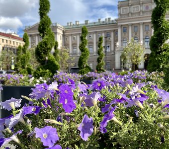 Летняя прогулка по Санкт-Петербургу