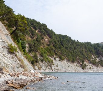 В окрестностях хутора Бетта, Россия