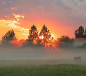 Солнце, в тумане садясь, лучи устремило к Земле, Словно жар-птица расправила дивные крылья свои...