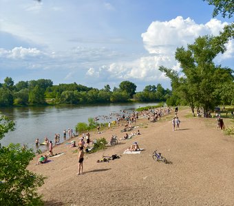 Муха спешит на пляж