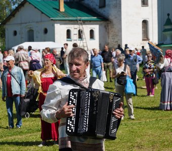 Гармонист