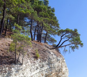 В окрестностях хутора Джанхот, Россия