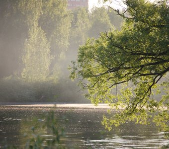 Над водой