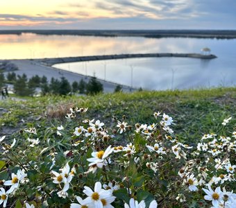«Закатная тишина»