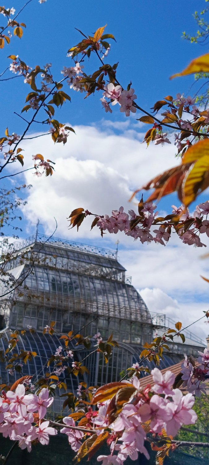 Ботанический сад Петра Великого