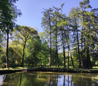 Зелёная осень