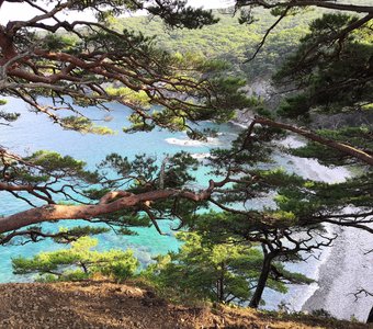 Бухта Теляковского, Приморский край