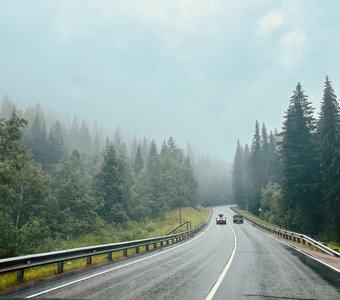 Когда увозят в тундру