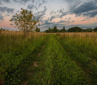 Дорога в поле