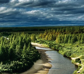 Тундра Красноярского края