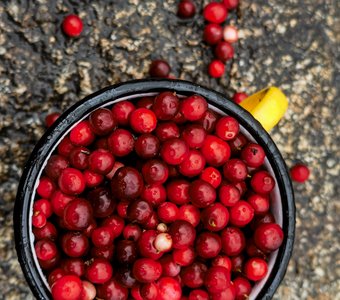 Витаминный заряд