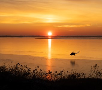 Апокалипсис сегодня