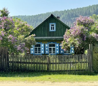 В деревне у бабушки