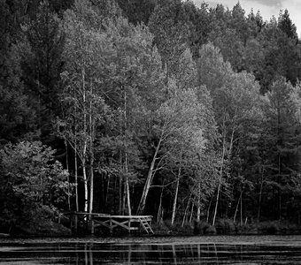 Утро на озере