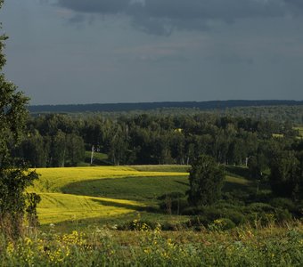 Поле