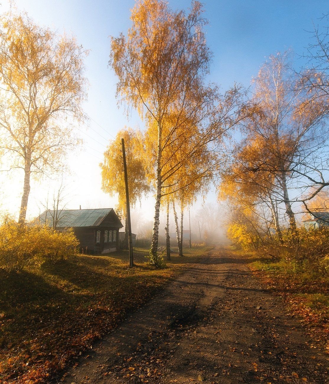 Осеннее. Туманное