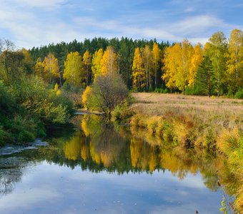 Золотая осень