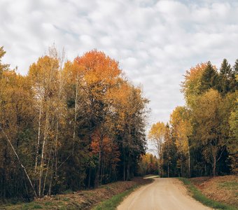 На пути в Нило-Сорскую пустынь