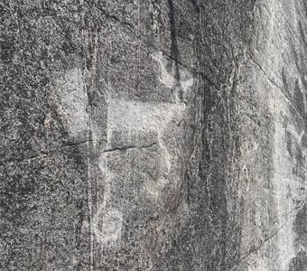 Беломорские петроглифы. Лось