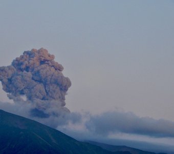 Эбеко проснулся