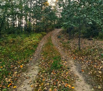 Дорога в осень