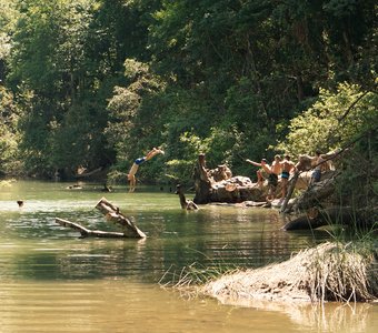 Летний день