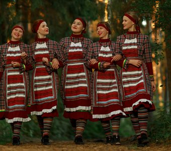 Ромашки в лесу