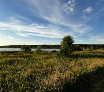 Родные просторы