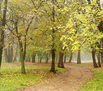 Осень в парке