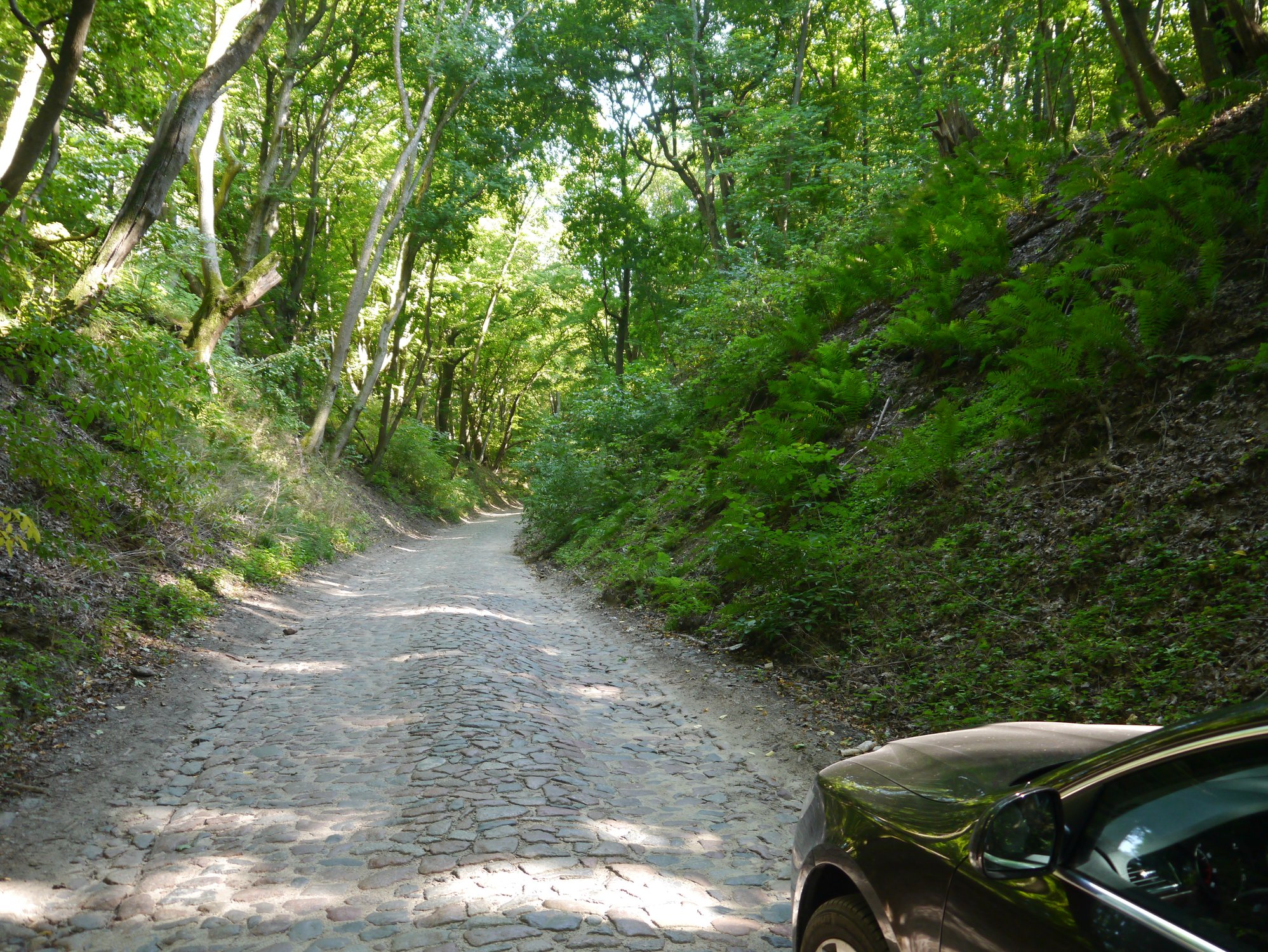 Древняя дорога к замку Бальга