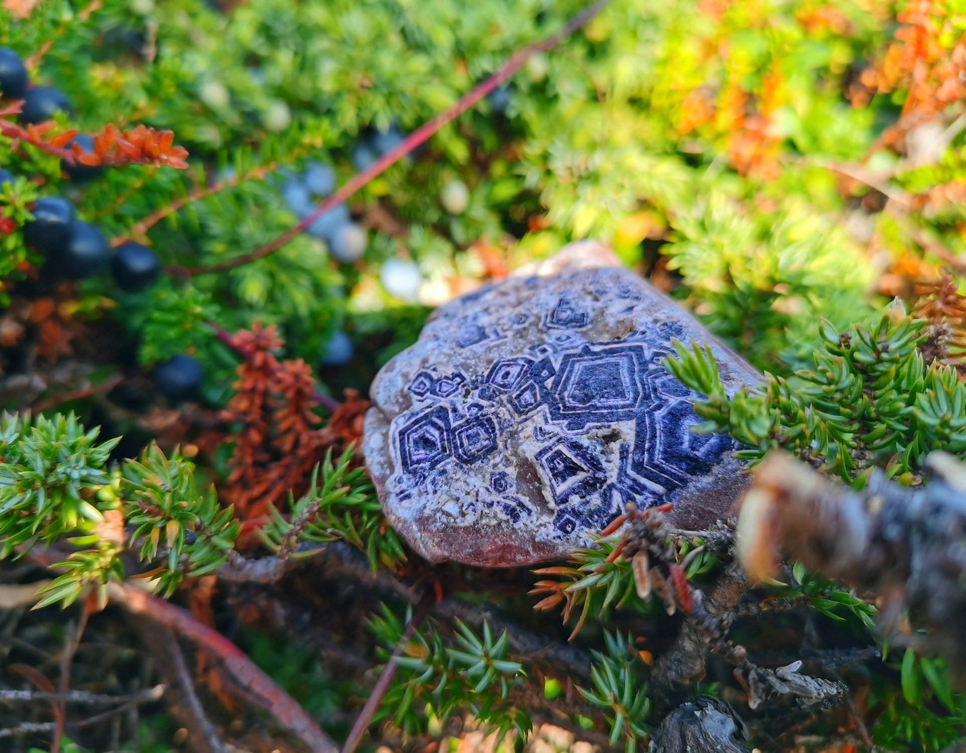 Райский уголок