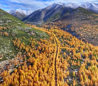 К заснеженным вершинам