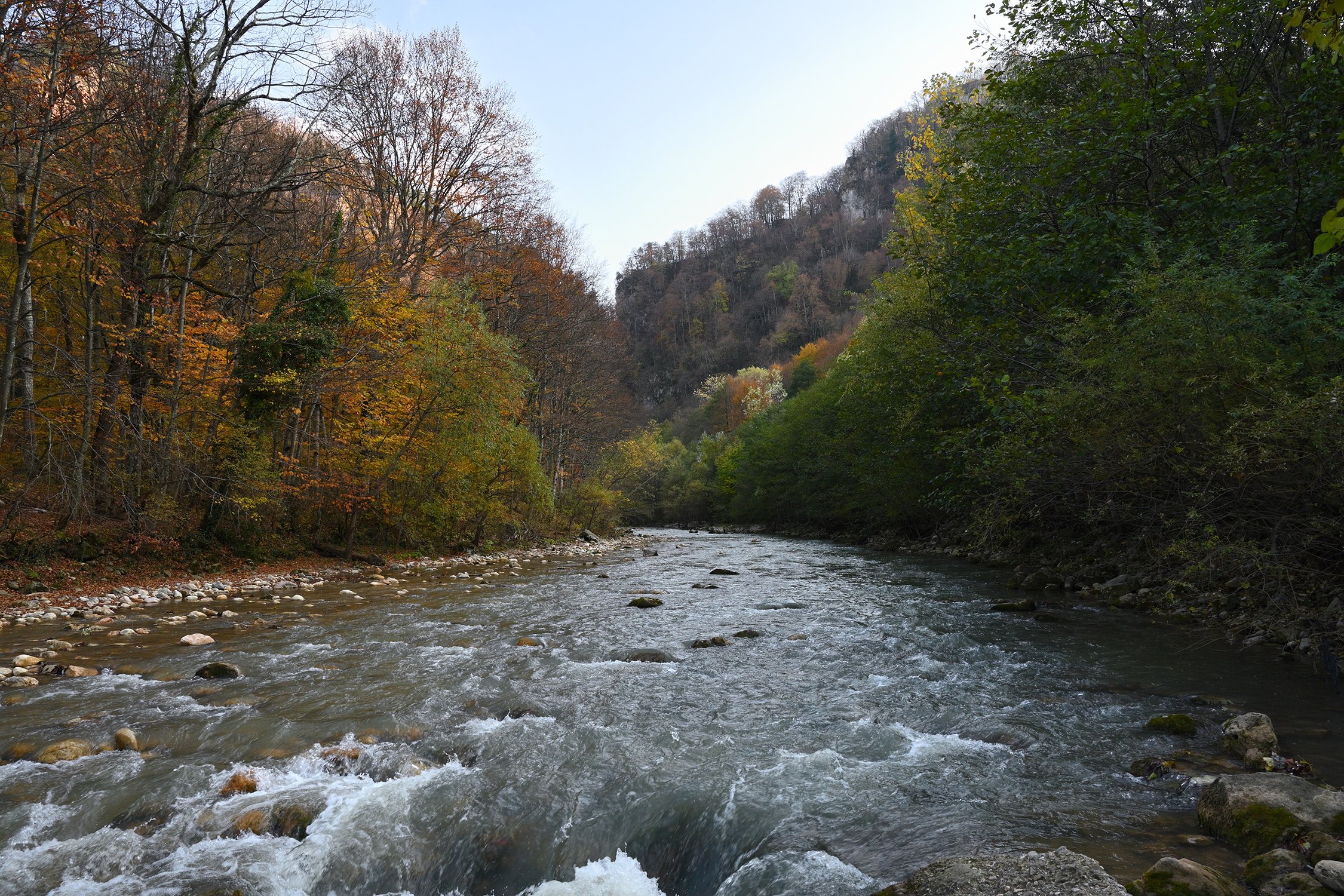 Осенний Курджипс