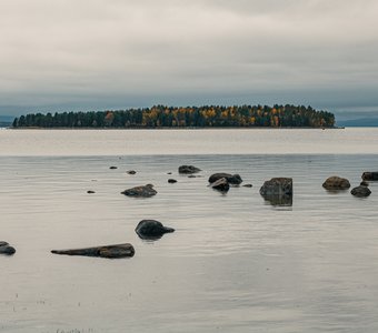 Цвета осени