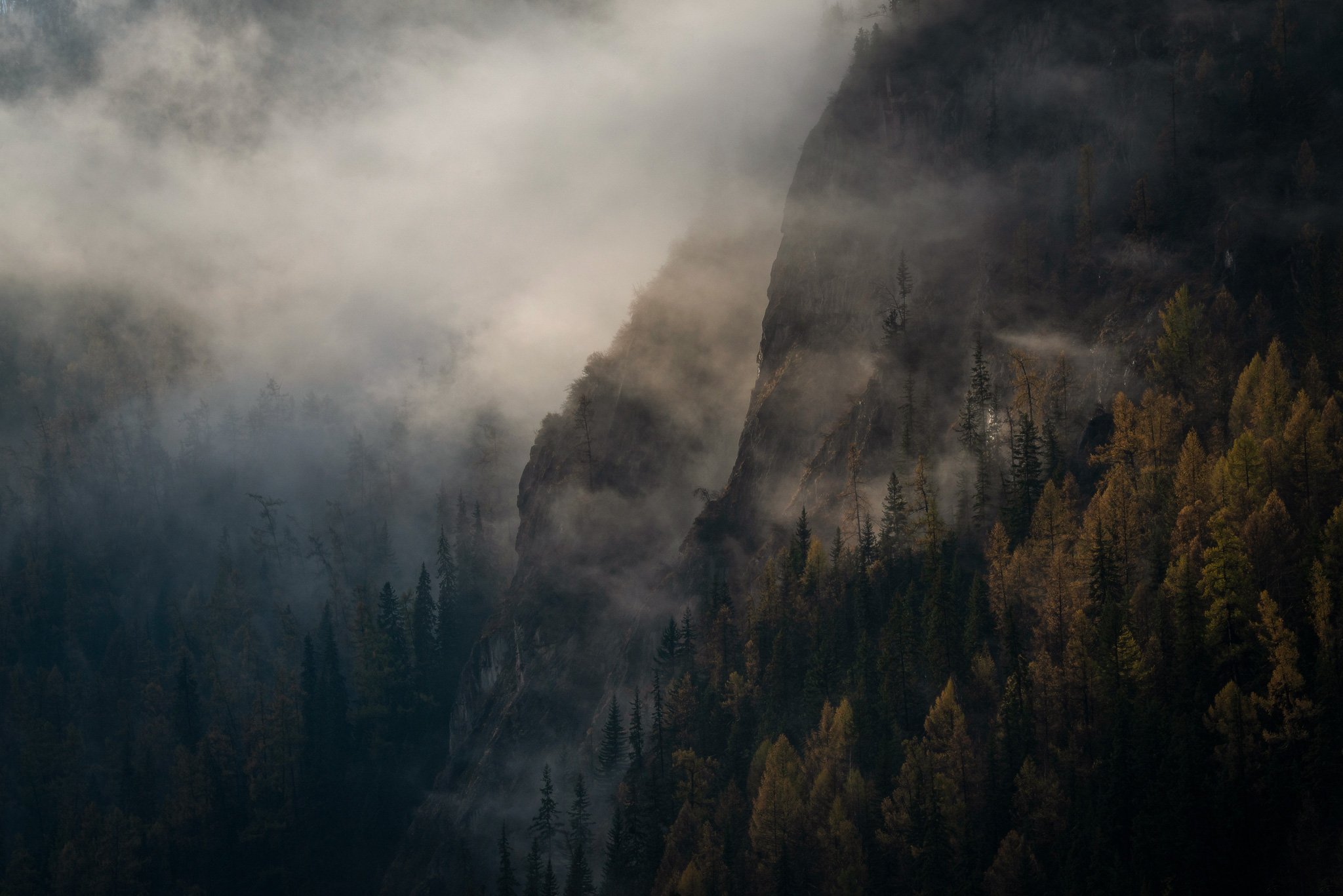 Дыхание зимы