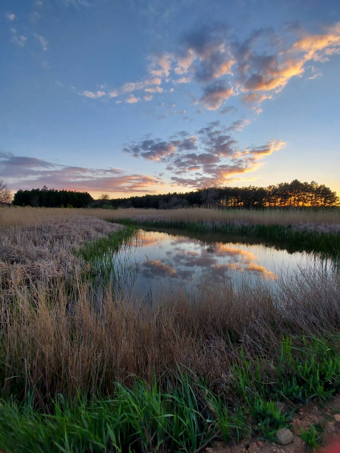 Бесконечность