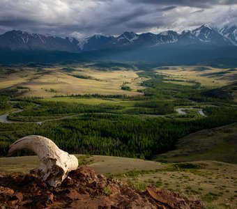 Алтайский пейзаж