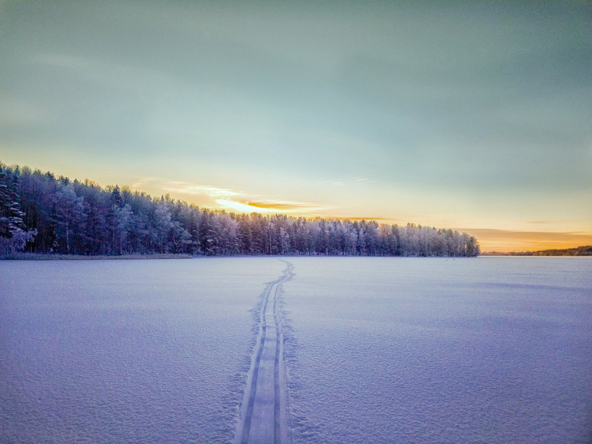 По свежему снегу