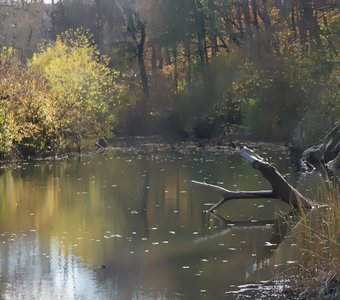 Осенняя река
