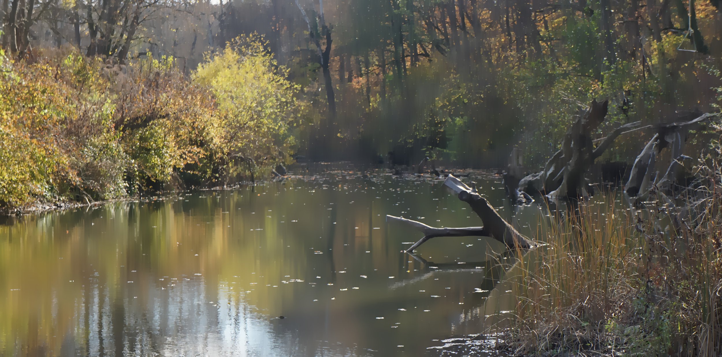 Тихий омут на реке Безепс